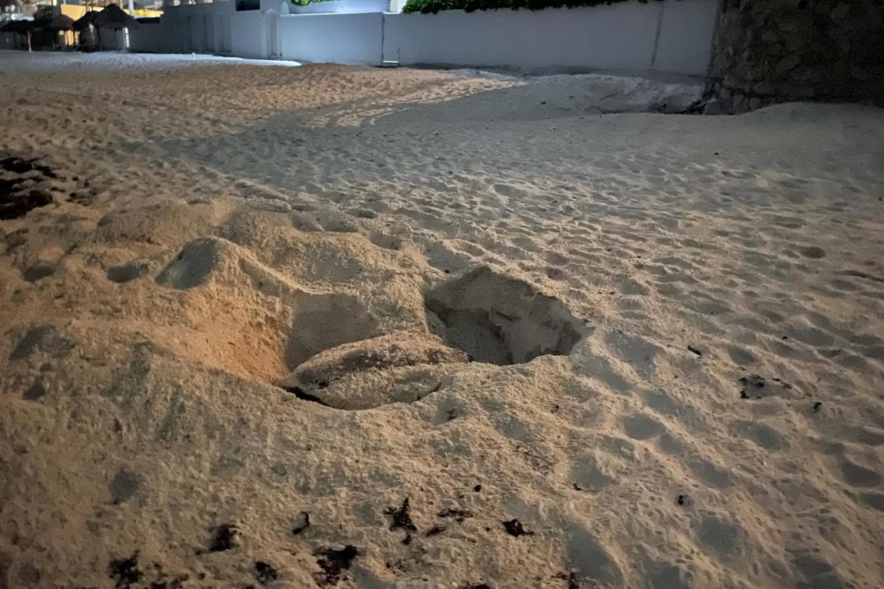 Renovated Studio In Cancun Beach At The Hotel Zone Luaran gambar